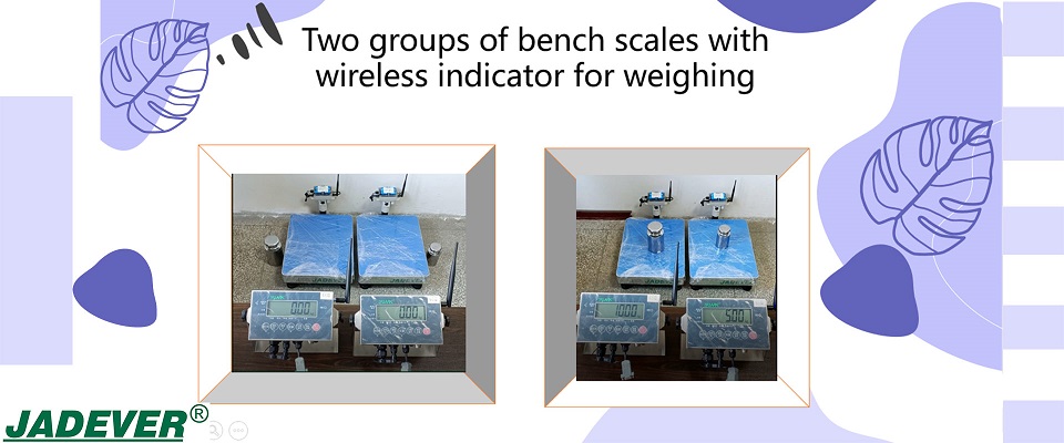Due gruppi di bilance da banco con indicatore wireless per la pesatura
