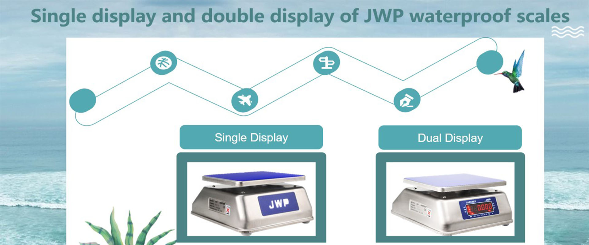 Display singolo e doppio display di bilance impermeabili JWP

